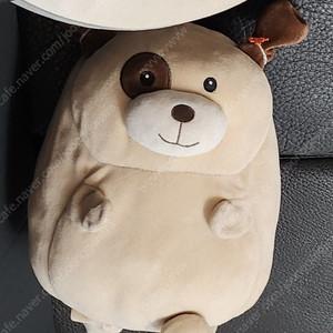 다이소 강아지 인형 삽니다