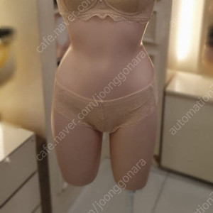 에블린 레이스 브라팬티 80B 새상품