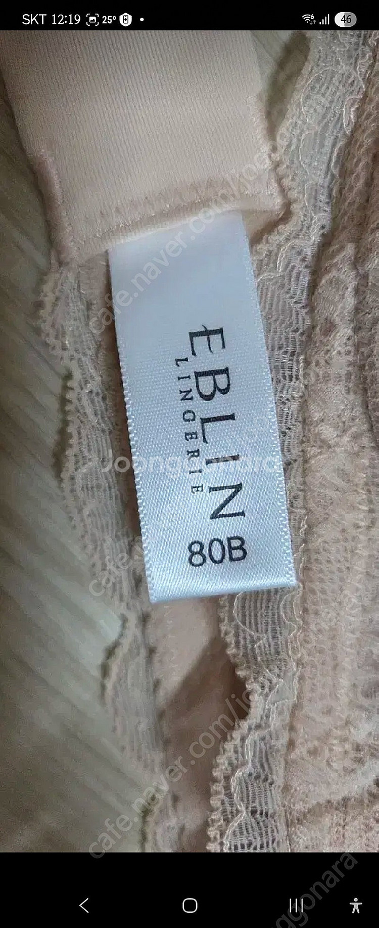 에블린 레이스 브라팬티 80B 새상품--2