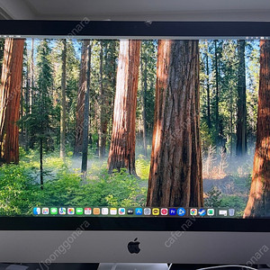 아이맥 2019 27인치 5k i5-8500, 램 32gb, 256gb ssd+1tb ssd 팝니다