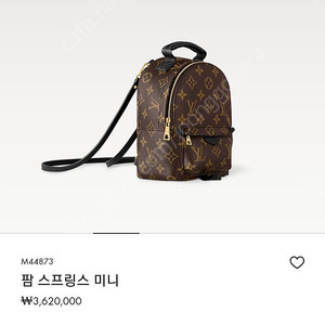 루이비통 팜미니 팜스프링