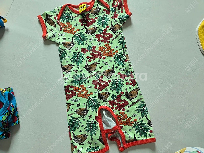 던스 참새 썸머수트 참새 썸수 86--0