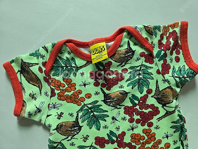 던스 참새 썸머수트 참새 썸수 86--1