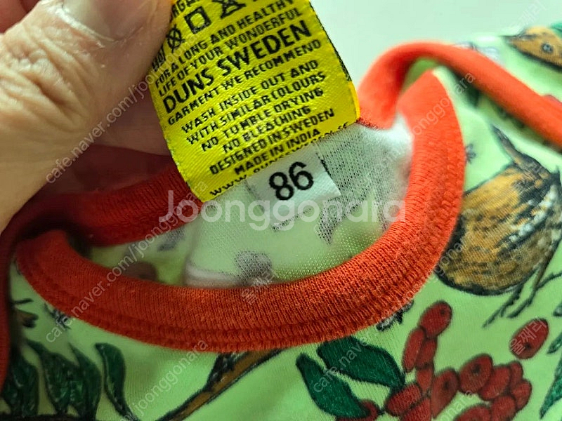 던스 참새 썸머수트 참새 썸수 86--2