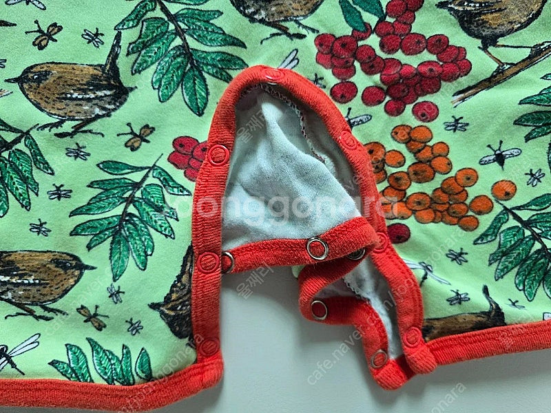 던스 참새 썸머수트 참새 썸수 86--3