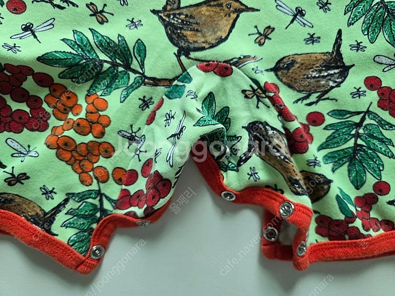 던스 참새 썸머수트 참새 썸수 86--4