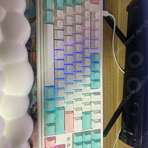 FL-ESPORTS CMK87 유무선 핫스왑 풀윤활 기계식 키보드 마쉬멜로우(영문각인), 마쉬멜로우축(리니어) 팝니다