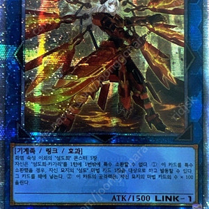 유희왕카드게임 tcg