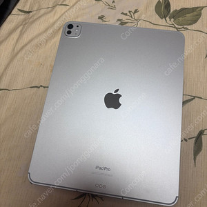 아이패드 프로 m4 13인치 512GB 셀룰러 S급