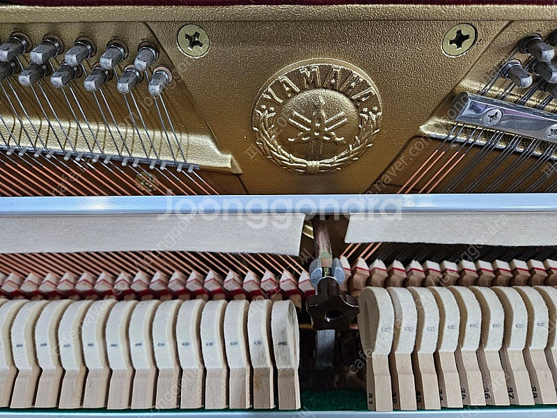 야마하피아노 JX-113T--5