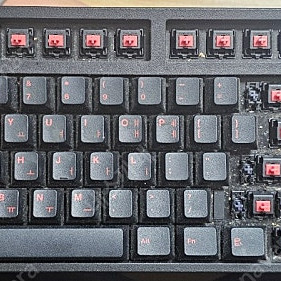 레오폴드 FC900R PD 저소음 적축 풀배열 검빨