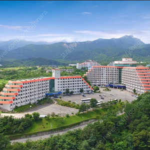 속초) 극성수기 현대수리조트 7월31일~8일3일 3박4일