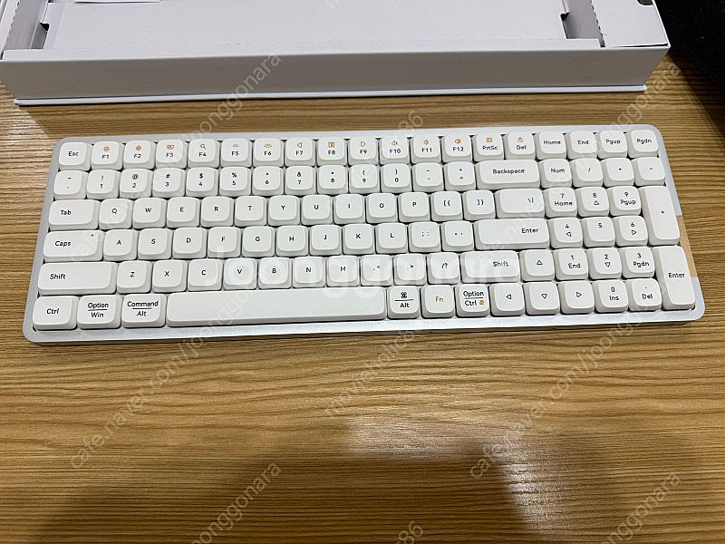 Lofree Flow 100, Ghost 축 팝니다--2