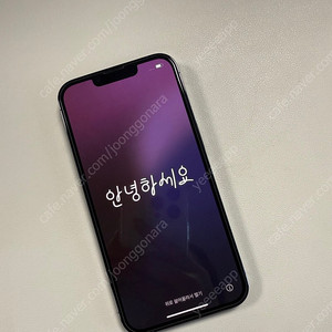 아이폰 13프로 256기가 시에라블루