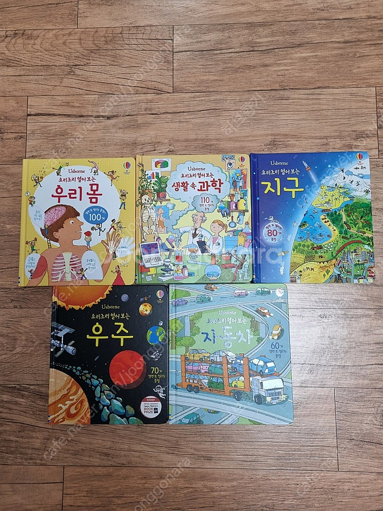요리조리 열어보는 플랩북 5권 택포--1