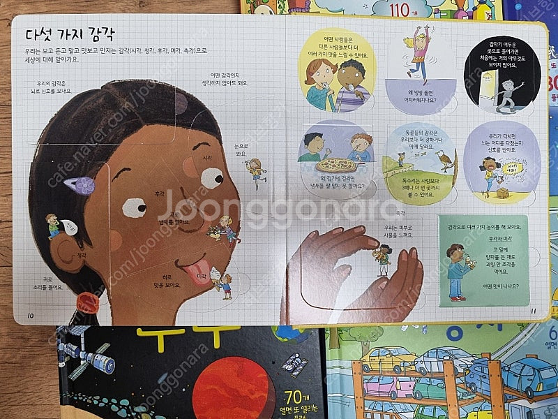 요리조리 열어보는 플랩북 5권 택포--2