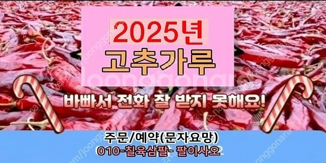 2025년 햇 건고추 고추가루 고춧가루 선주문예약 시세...--0