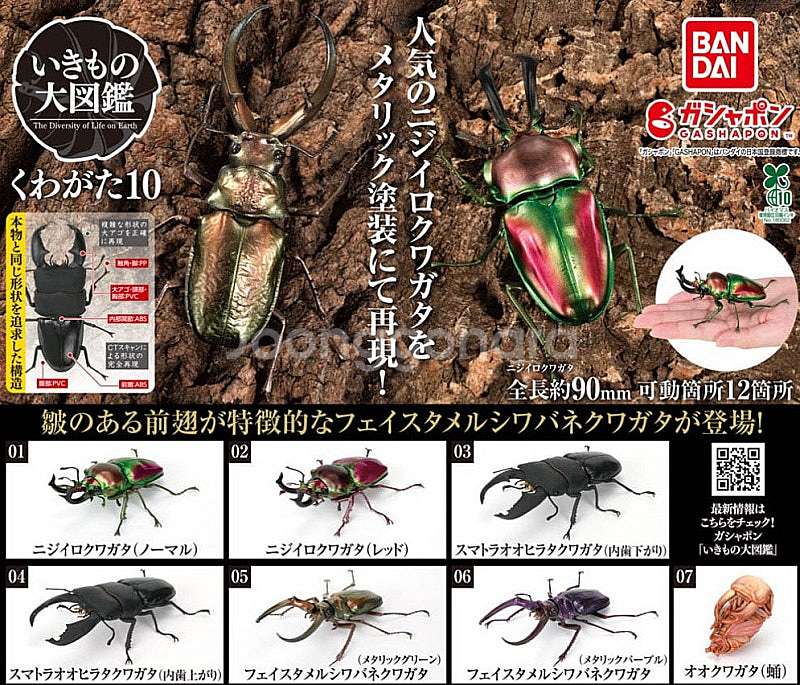 BANDAI(반다이), 생물대도감(사슴벌레 10탄), ...--0