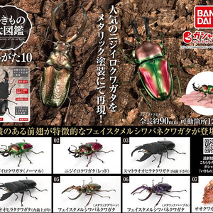 BANDAI(반다이), 생물대도감(사슴벌레 10탄), 미개봉 급처합니다.