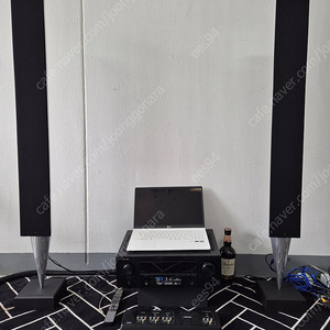 B&O 베오랩8000 beolab8000(+블투투스)