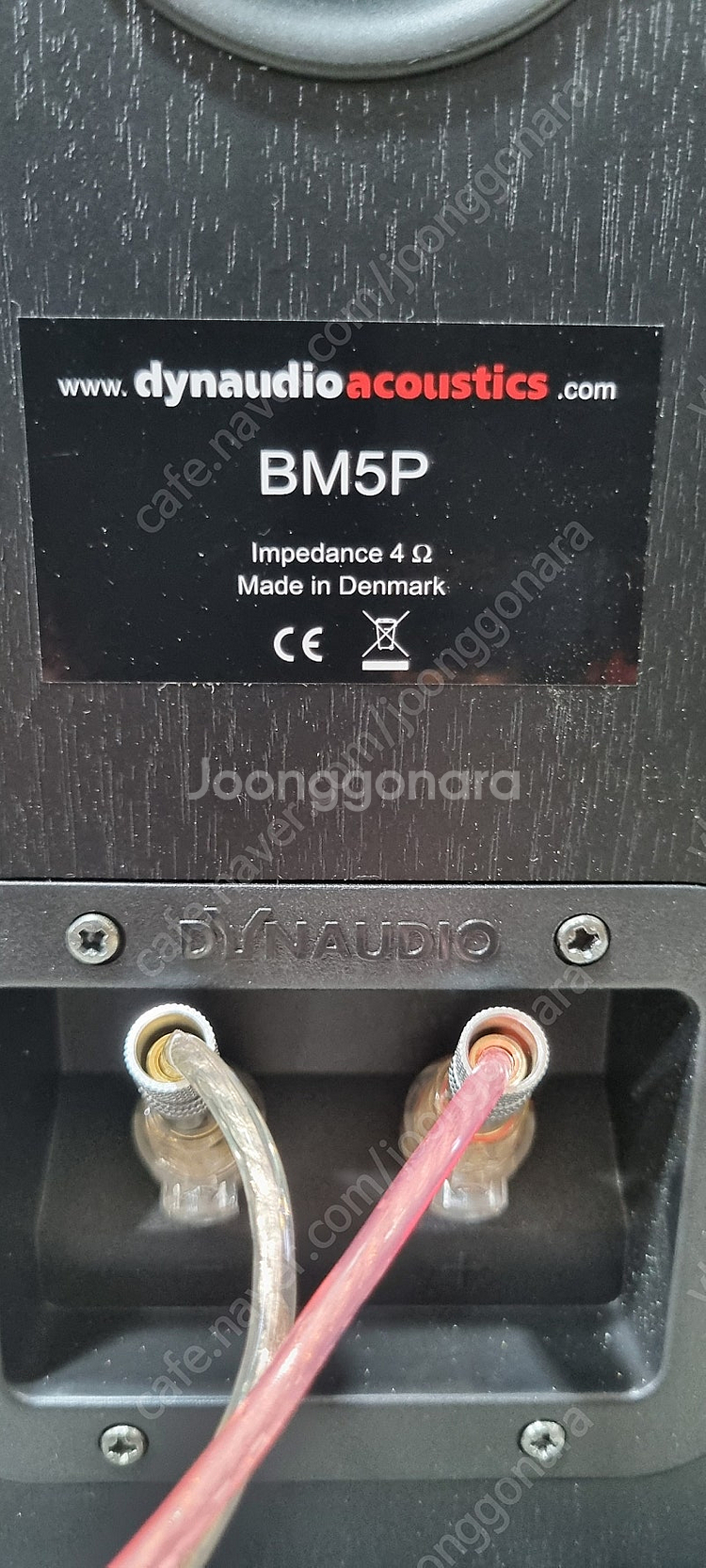 보스DXA2120+다인오디오 BM5P스피커--4