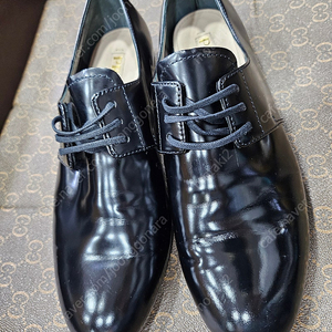 프라다 로퍼 거의 새 제품