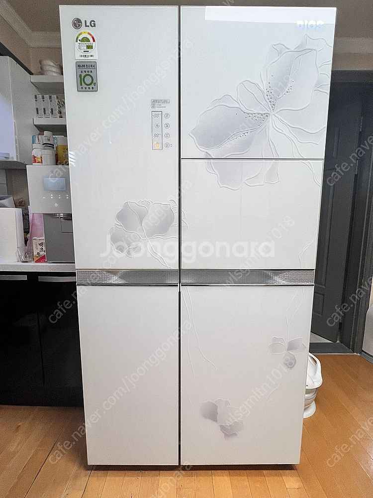 엘지 디오스냉장고--0
