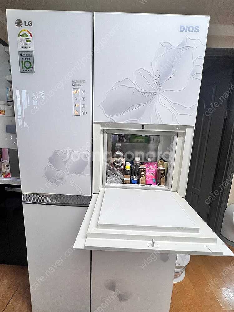 엘지 디오스냉장고--1