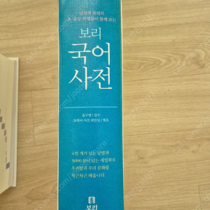 보리국어사전+ 보리국어 바로쓰기 사전