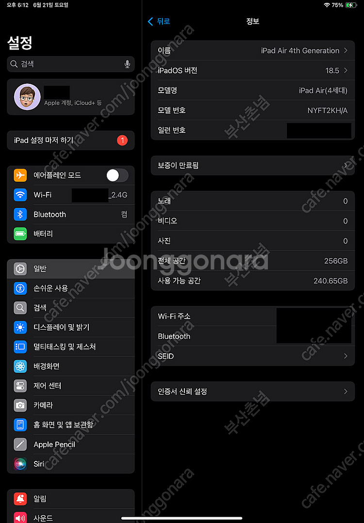 아이패드 에어 4세대 256GB WIFI Space G...--2