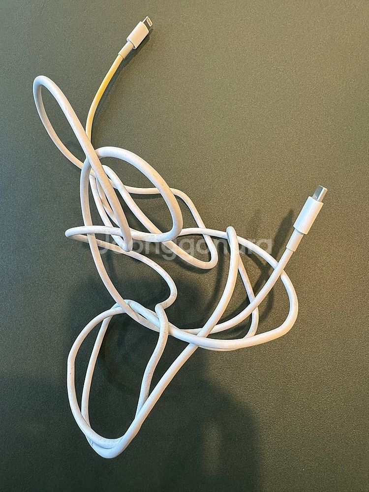 애플 정품 USB-C 라이트닝 2미터 충전케이블--3