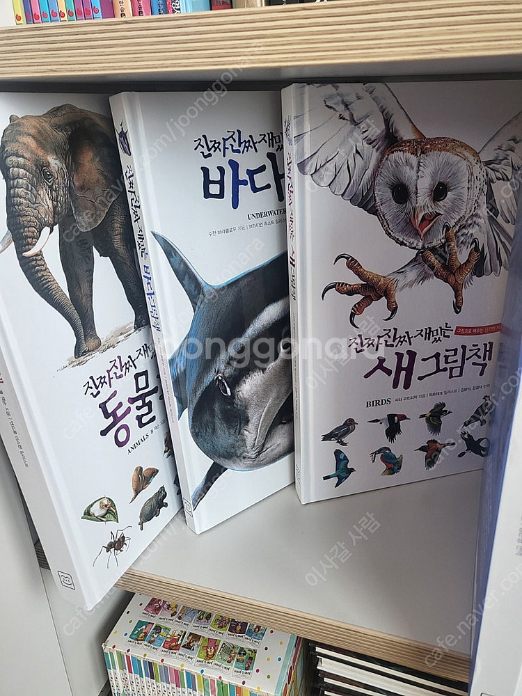 진짜진짜 재밌는 그림책, 총 5권, 택포금액--3