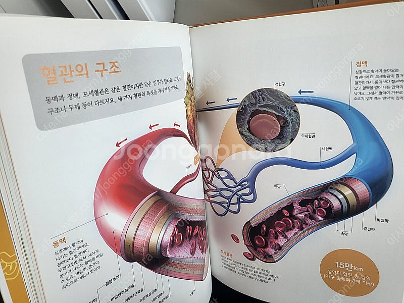 진짜진짜 재밌는 그림책, 총 5권, 택포금액--5