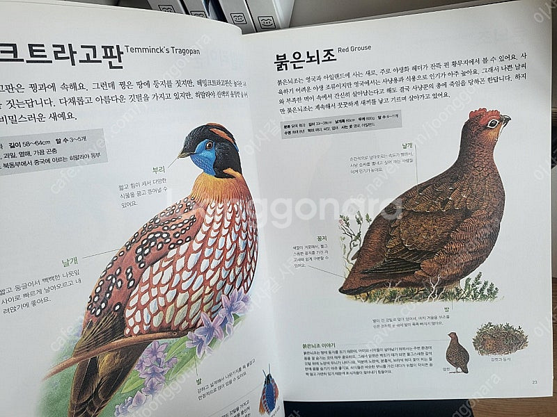 진짜진짜 재밌는 그림책, 총 5권, 택포금액--6