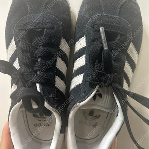 가젤 키즈 175