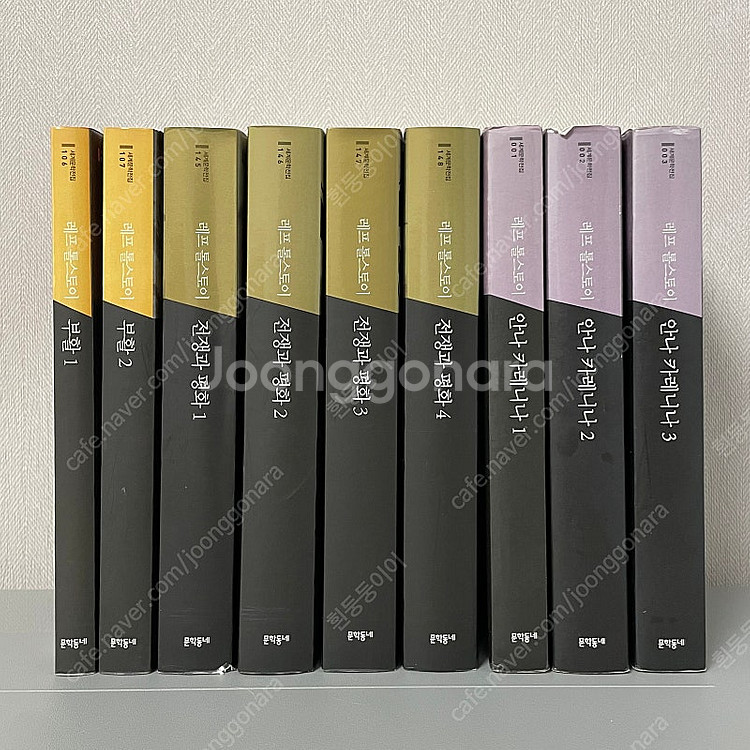 문학동네 톨스토이 안나카레니나 전쟁과평화 부활--0