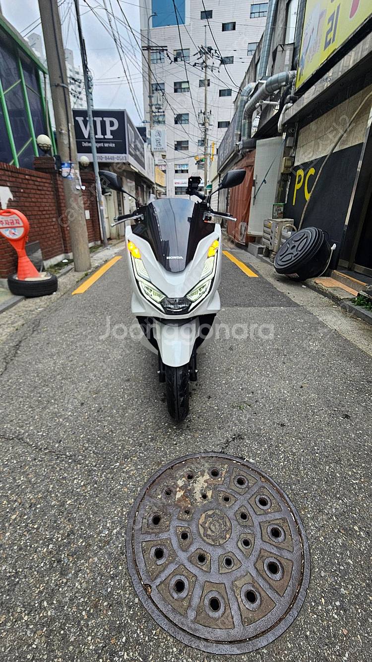 24년식 pcx125판매합니다--0