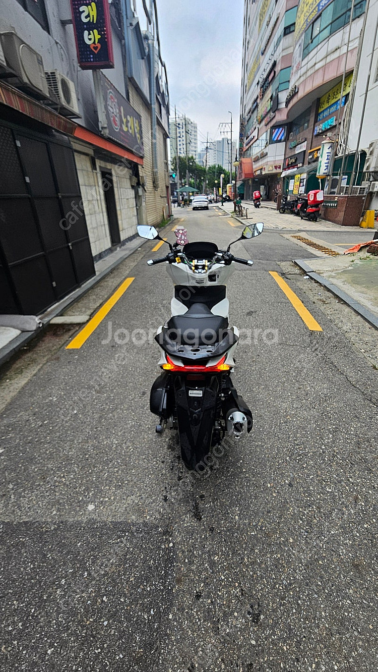 24년식 pcx125판매합니다--2