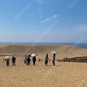 [삽니다] 마리오파티 잼버리 삽니다 (반값택배)