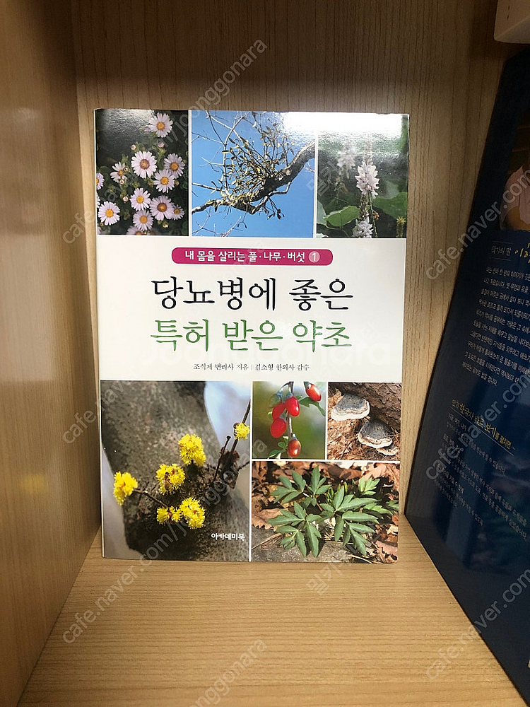 당뇨병에 좋은 특허 받은 약초 도감 식물 도서 책--0