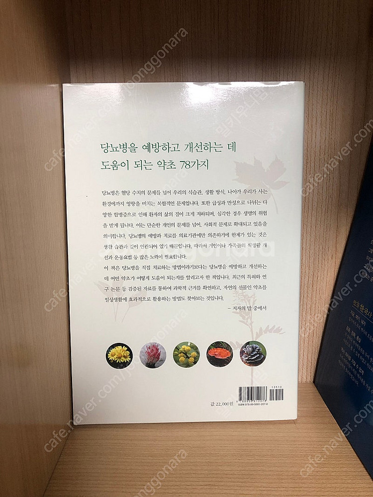 당뇨병에 좋은 특허 받은 약초 도감 식물 도서 책--1