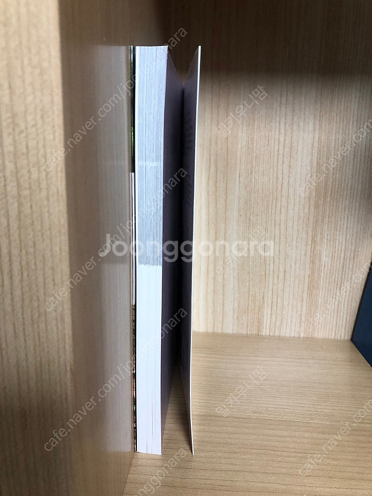 당뇨병에 좋은 특허 받은 약초 도감 식물 도서 책--2