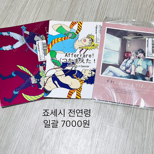 죠죠의 기묘한 모험 죠세시 일본어회지
