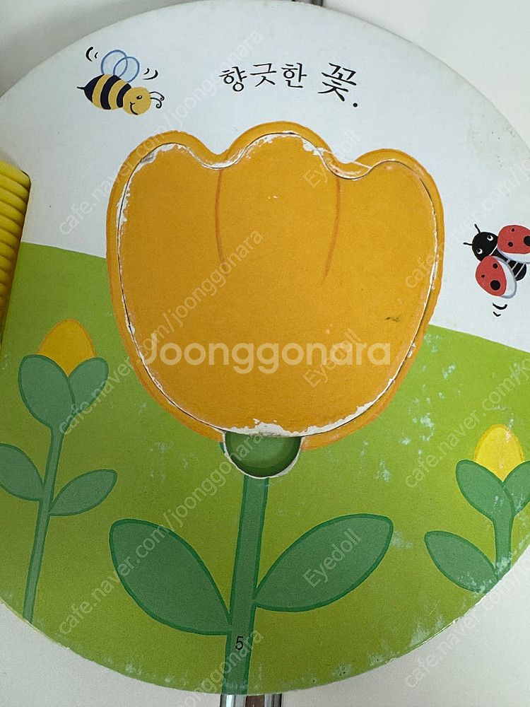 영아다중 누구를 만났을까 킁킁킁 둥둥둥--4