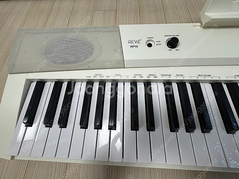 reve RP100 전자피아노--1