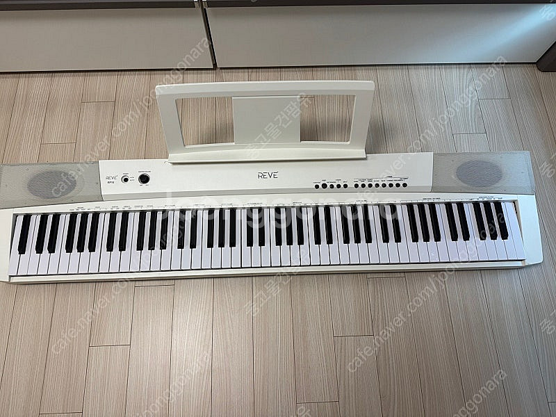 reve RP100 전자피아노--0