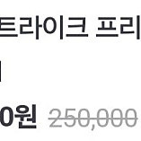 pg 스트라이크 프리덤 건담 외