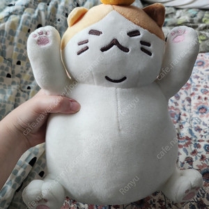 제주냥이 인형 쿠션 판매합니다
