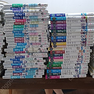 why 인문사회 한국사 과학