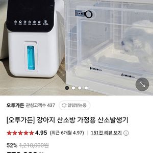 O2가든 강아지 산소방